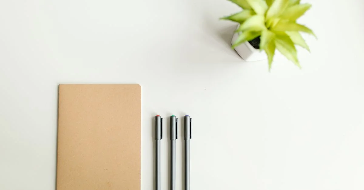 Un plan à plat propre et minimaliste mettant en avant un carnet, des stylos et une plante en pot sur une surface blanche.